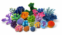 Load image into Gallery viewer, Artificial Brain Coral