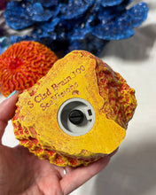 Load image into Gallery viewer, Artificial Brain Coral