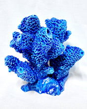 Load image into Gallery viewer, Artificial Tube Coral