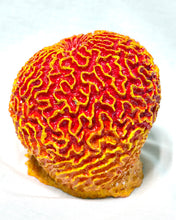 Load image into Gallery viewer, Artificial Brain Coral