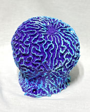 Load image into Gallery viewer, Artificial Brain Coral