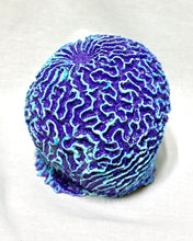 Load image into Gallery viewer, Artificial Brain Coral