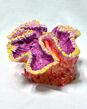 Load image into Gallery viewer, Artificial Chalice Coral