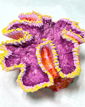 Load image into Gallery viewer, Artificial Chalice Coral