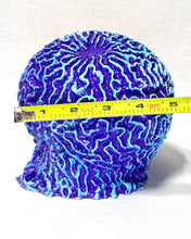Load image into Gallery viewer, Artificial Brain Coral