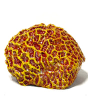 Load image into Gallery viewer, Artificial Brain Coral