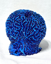 Load image into Gallery viewer, Artificial Brain Coral