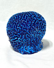 Load image into Gallery viewer, Artificial Brain Coral