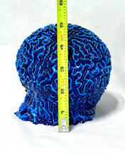 Load image into Gallery viewer, Artificial Brain Coral
