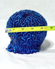 Load image into Gallery viewer, Artificial Brain Coral